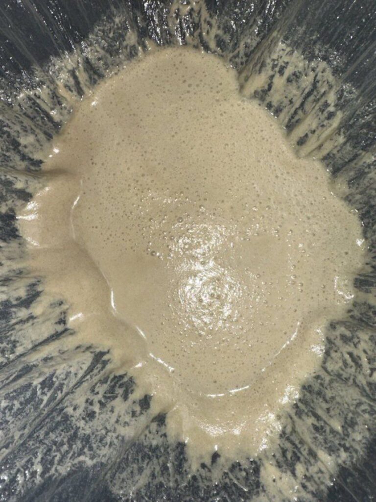 T: Fermenting starter with bubbles, symbolizing the natural process behind Cozy Cubes x Master Ball Melts solventless live rosin gummies