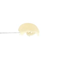 Papaya × OZ Melon full melt hash jar from Masterball Melts,