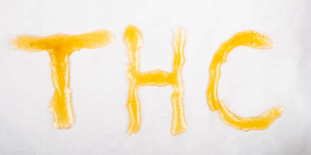 Lavender Pie THCa Rosin by Masterball Melts in a 2-gram jar, premium solventless extract with papaya sweetness and floral notes