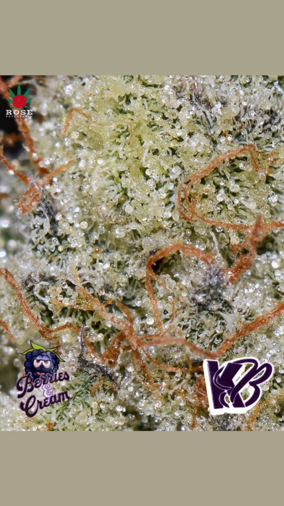 Puffcon influencer kit promotion with prize giveaway message and event announcement