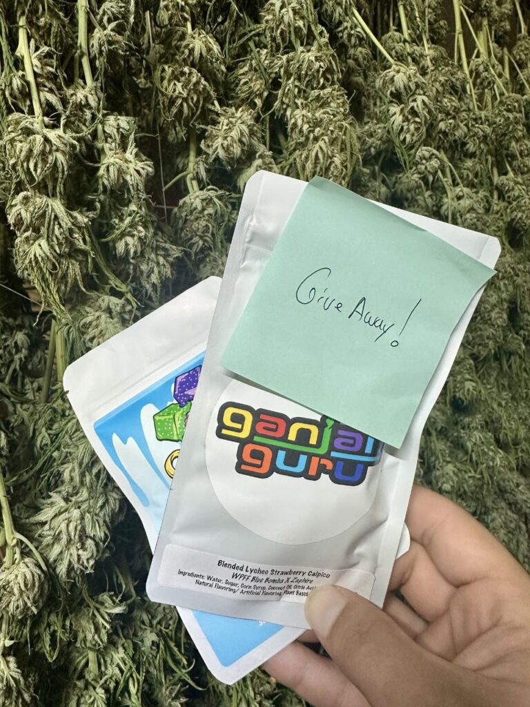 Watermelon Kiwi Sherb hash rosin gummies by Cozy Cubes × Master Ball Melts