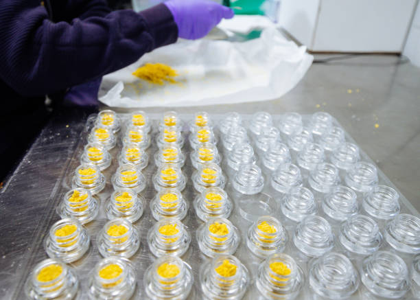 JJ FRANK holding Masterball Melts rosin at Utah Cannabis Club, thanking Brackens Blunts and praising the flavor as next level