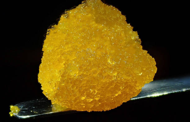 JJ FRANK holding Masterball Melts rosin at Utah Cannabis Club, thanking Brackens Blunts and praising the flavor as next level